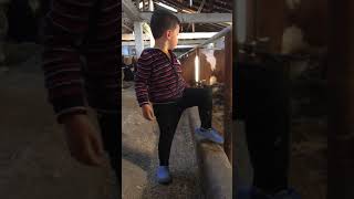 Genç Çoban İş Başimda Rafadan Tayfa Türküsü