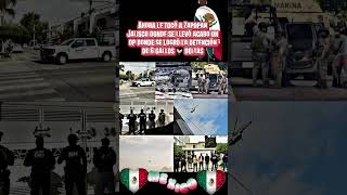#zapopanjalisco #jalisco #harfuch #mexico #noticias #claudiasheinbaum #barbashats #markitostoys