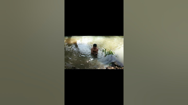 The man dived in a crocodile-infested river and found freshwater shells to survive#short