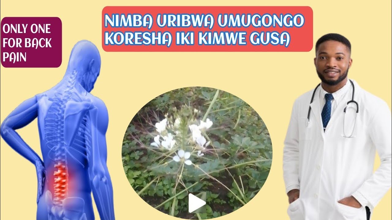 Umugangu Pattern UMUTI 1 W'IBANGA UVURA UMUGONGO MU MINSI MICYE UTARUZI. - YouTube