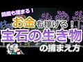 【テラリア】図鑑が埋まる！お金も稼げる宝石の生き物の捕まえ方