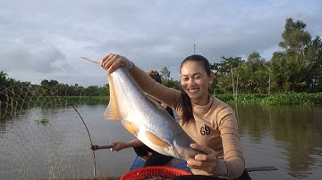 508 / Cùng Fan Đi Trãi Nghiệm Giăng Câu Cá Tra Sông Cái Bé