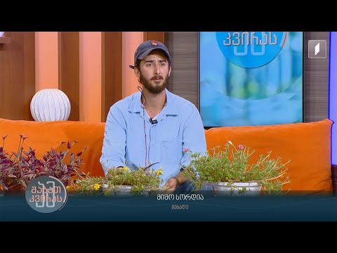 როგორ მოვუაროთ მცენარეებს შემოდგომის სეზონზე