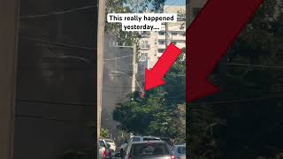 This Really Happened Yesterday..