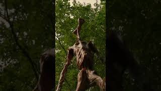 Climbing a tree to escape from Siren Head #horror
