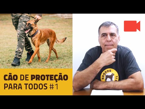 Vídeo: Proteção do cão: métodos