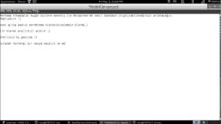 Wordpress system also a created Backdoor with a/an Weevely Backdoor Exploit