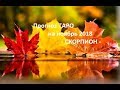 ♏ Прогноз ТАРО на ноябрь 2018 - СКОРПИОН -