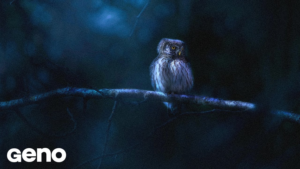 Watch Geno Samuel - Owl | Original Lofi on YouTube Watch Geno Samuel - Owl | Original Lofi on YouTube