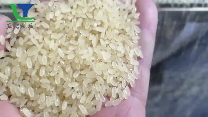 ARROW Machine FT75 FT95 Fortified rice FRK rice Nutrition rice extruder machine line ARROW Extruder