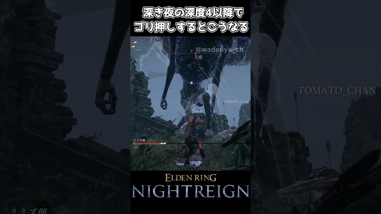 深き夜の深度4以降でゴリ押しするとこうなる【エルデンリング ナイトレイン】