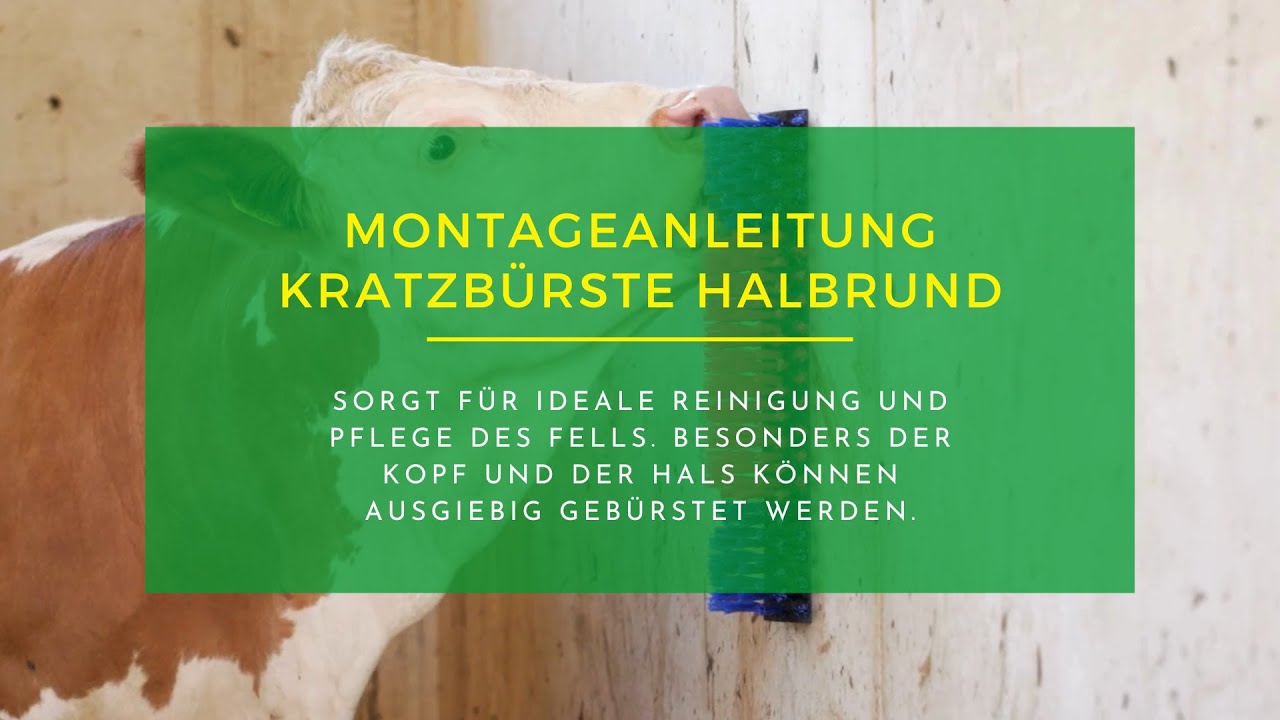 Montageanleitung Kratzbürste halbrund / Faie Nr. 102275