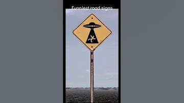 funniest road signs
