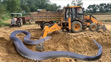 JCB 3dx Backhoe Soil Loading Mud in Tata Truck | jcb soil loading truck | jcb 3dx video | jcb work