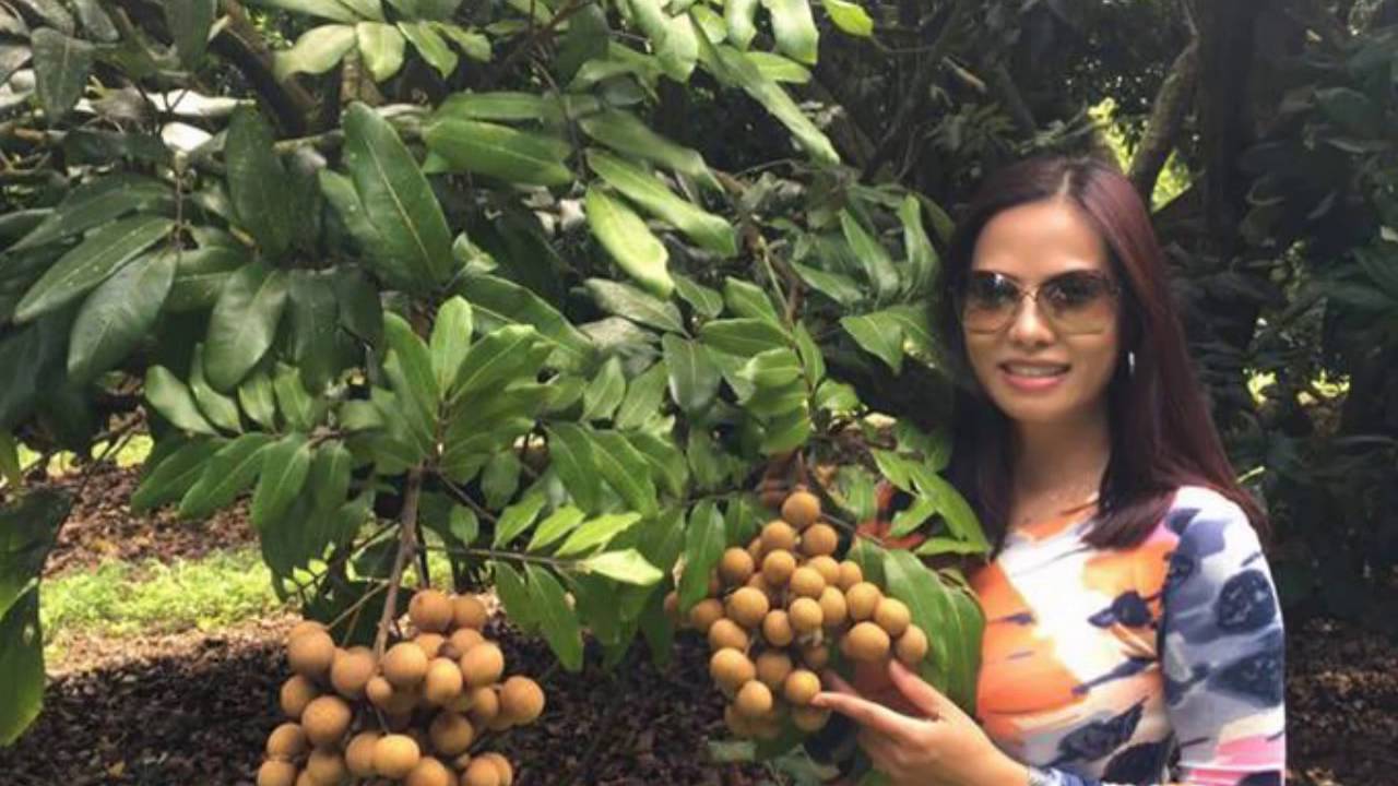 Em Van Mo Mot Ngay Ve (Destiny Nguyen) Sang Tac Nguyet Anh. Ca Si