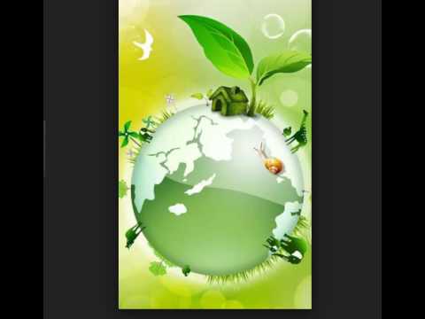 ეკოლოგია