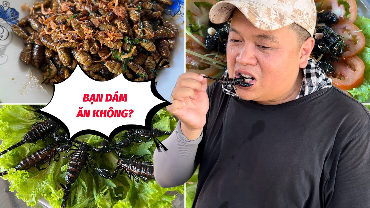 Thử thách ĂN CÔN TRÙNG bọ cạp, bọ rầy, nhộng... Vùng 7... - youtube