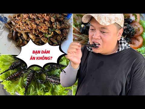 Video Thử thách ĂN CÔN TRÙNG bọ cạp, bọ rầy, nhộng... Vùng 7... - youtube
