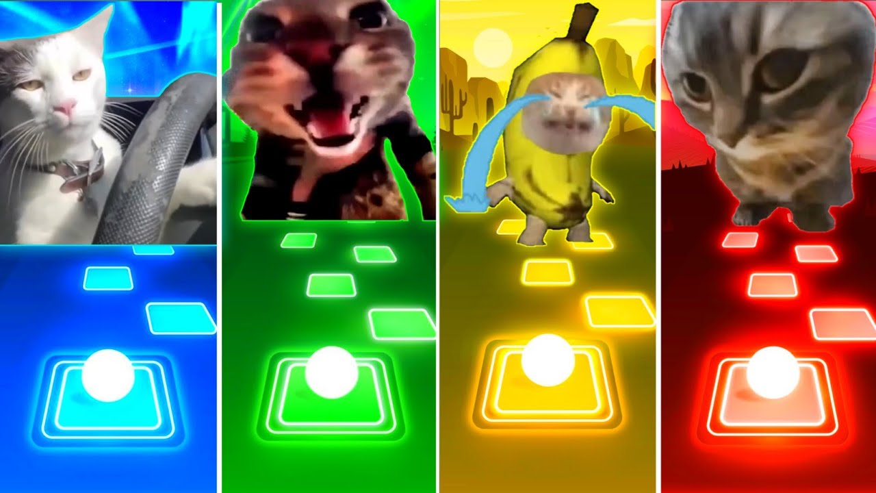 Driving Cat vs Doorbell Cat vs Banana Cat vs Chipi Chipi Chapa Chapa Cat Tiles Hop EDM Rush