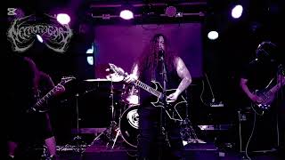Necrofagore - Echoes of Desolation