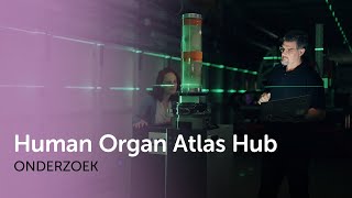 Menselijke organen scannen op microniveau