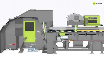 Multi-Sensor Sorting System VARISORT - 2-chute version