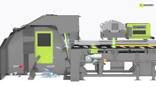 Multi-Sensor Sorting System VARISORT - 2-chute version Wealth