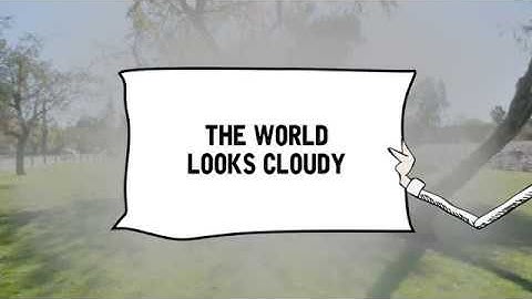 What it Looks Like | Cataracts