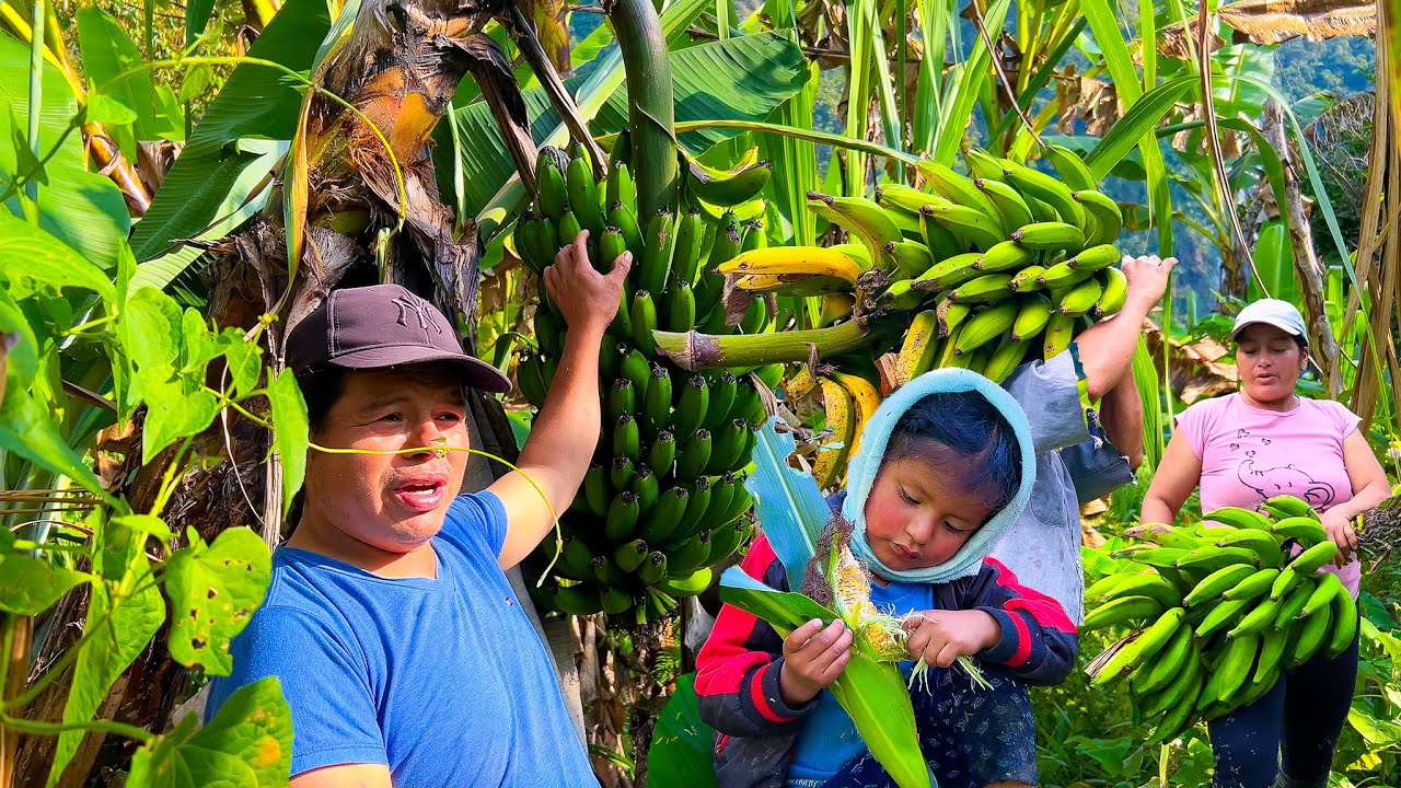 Hoy sali en busca de alimentos para la semana miren todo lo que me encontre - DON PEDRITO