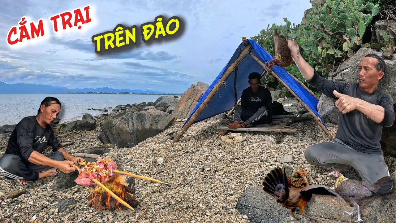 24h cắm trại một mình trên đảo hòn trì đặt bẫ.y gà rừng tìm thức ăn tự lập | 2 Days camping