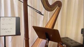 ハープ生演奏】何曲か弾いていきます！ - YouTube