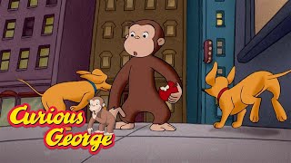 curious george george and hundley get lost kids cartoon kids movies videos for kids