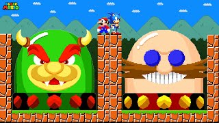 Can Mario and Sonic Press Ultimate Bowser - Eggman Switches in New Super Mario Bros. Wii???