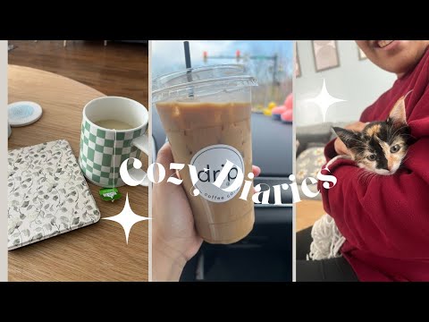 cozy days, hauls and new kitten