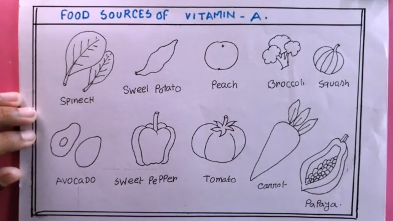 how to draw sources of vitamin A/vitamin A food drawing easy YouTube