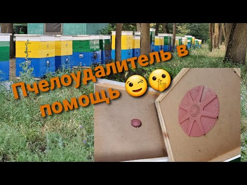 Видео: Усилия Tecmo Nintengirls