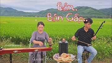 Ngẫu Hứng Khúc Đàn ở Đồng Quê, em gái đàn Bầu, đàn nhị mùi mẫn..#trilamnong