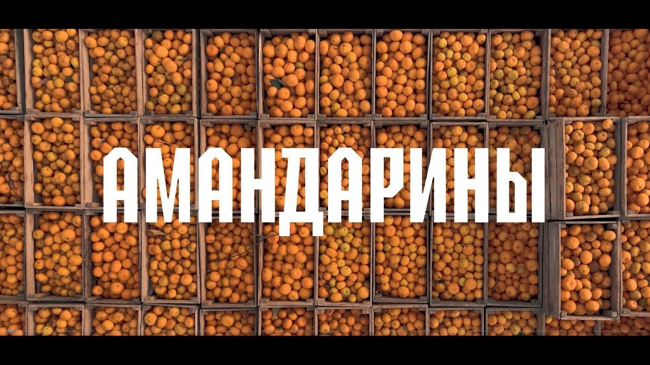 «Амандарины»: как растут мандарины в Абхазии? Документальный фильм