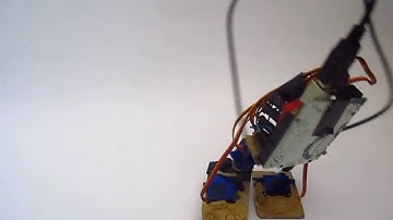 My Biped Robot Walking