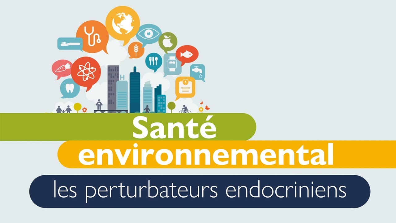 Santé environnementale, quelles recommandations ? - YouTube