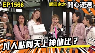 愛．回家之開心速遞 | 第1566集（下）| 凡人點同天上神仙比？