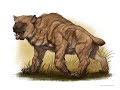 The Nandi Bear: Bear, Hyena or Baboon?