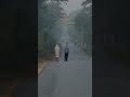 Chhattisgarh winter mornings