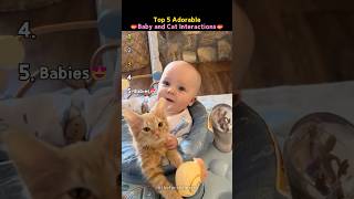 Adorable Babies and Kittens😍😍
