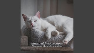 Whiskers Whisper in Wind