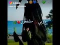 ياربي انا مذنبون . اجمل انشودة😻