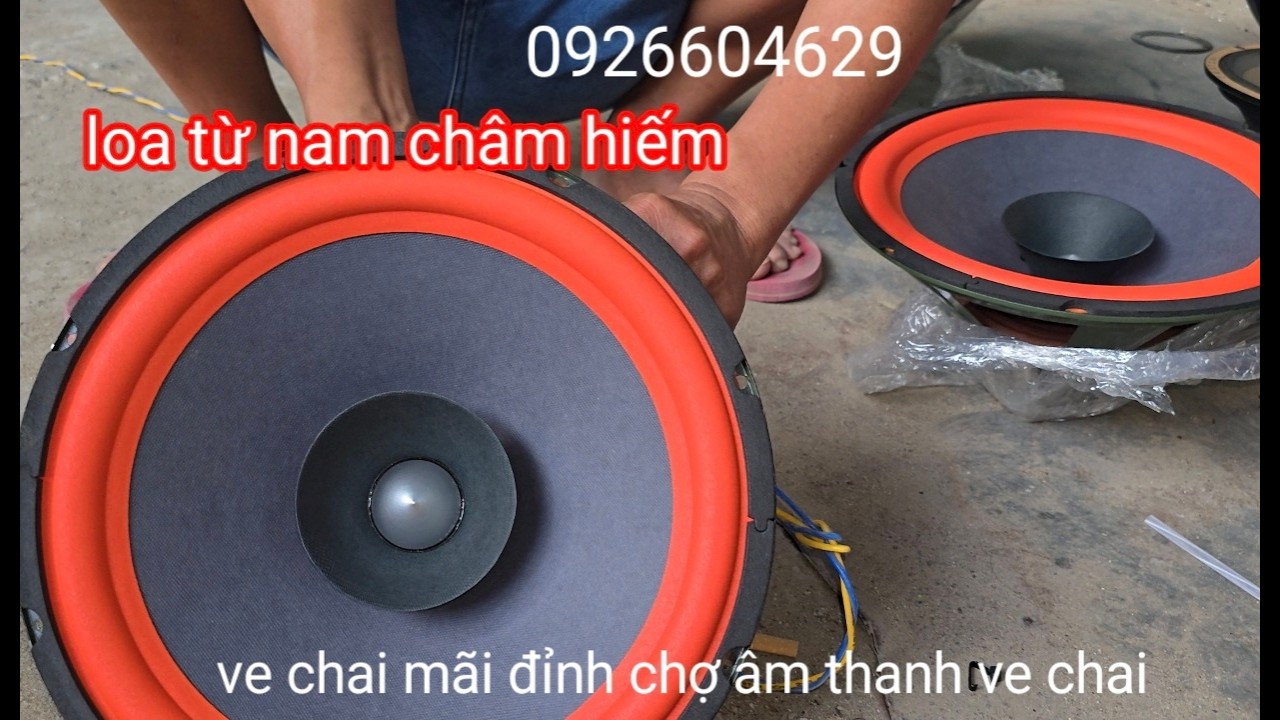 Xả hết bán TẾT. Loa từ nam châm đất hiếm. Loa toàn dải. Đẩy. Vang. Micro