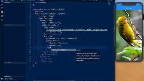 Flutter Transparent AppBar
