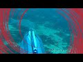 @Florida Scuba Divers Gag Grouper‐Snook & more #spearfishing