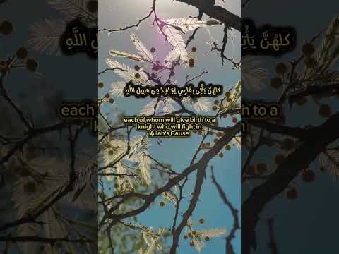 صحيح البخاري  كتاب الجهاد والسير باب من طلب الولد للجهاد
